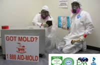 mold_removal