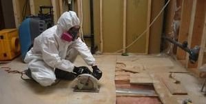 Water Damage and Mold Removal Process