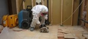 Water Damage Restoration Opening Moldy Floor Boards